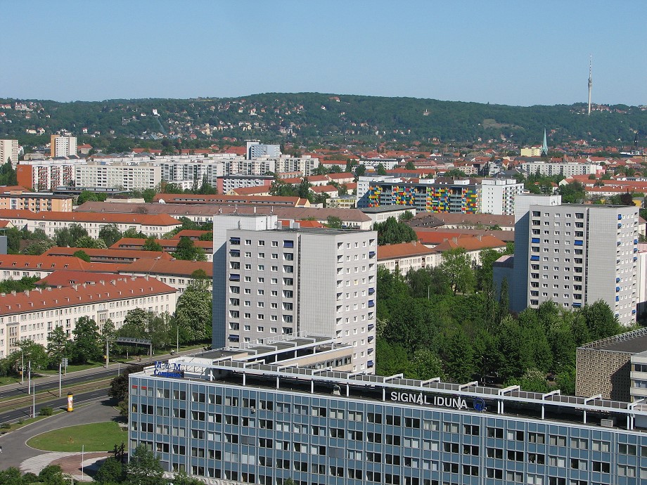 6486.jpg